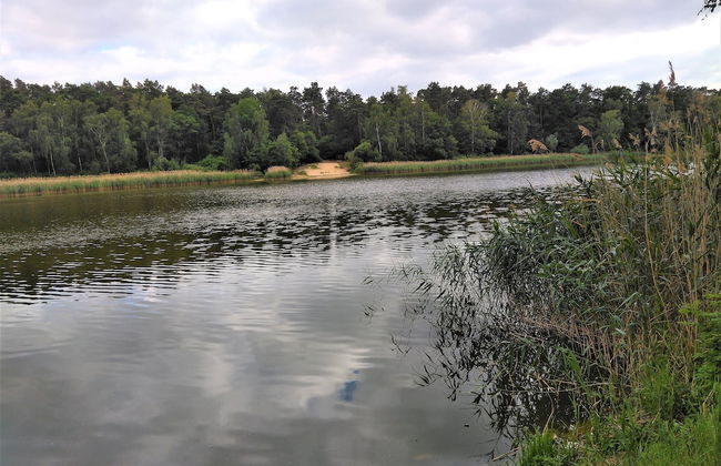 Spacious Holiday Home in Sommerfeld near Lake - Foto 22
