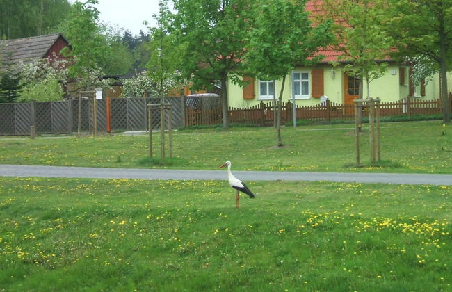 Spacious Holiday Home in Sommerfeld near Lake - Foto 21