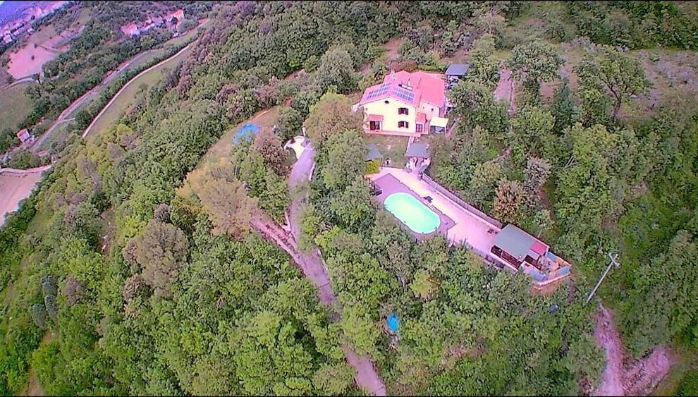 Primary image
