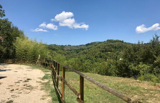 Alloggio Rurale - Photo 55