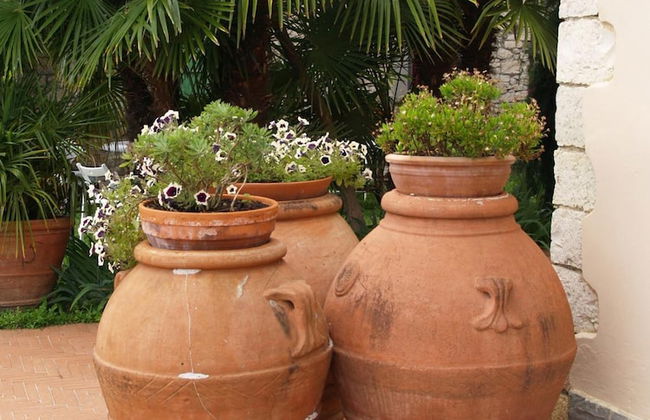 Agriturismo Poggio alla Pieve - Foto 58