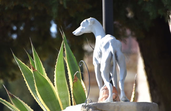 Agriturismo Poggio alla Pieve - Foto 62