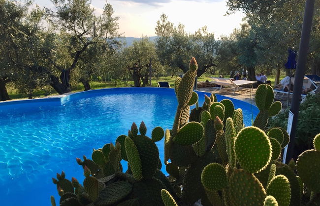 Agriturismo Poggio alla Pieve - Foto 34