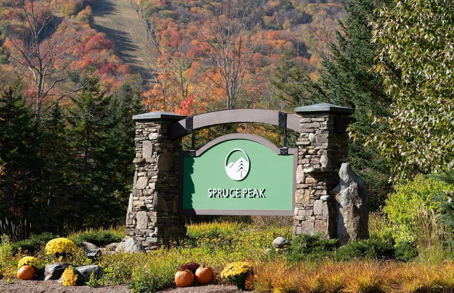 2 BR Lodge at Spruce Peak - Foto 27