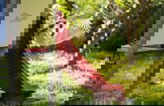 Photo 42 - Agriturismo San Leonardello