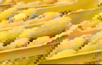 Photo 76 - Agriturismo San Leonardello