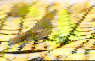 Photo 53 - Agriturismo San Leonardello