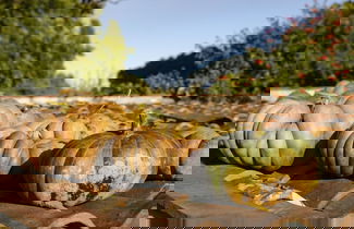 Photo 41 - Agriturismo San Leonardello