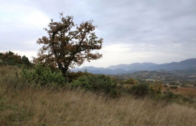 Agriturismo Valdifiori - Foto 27