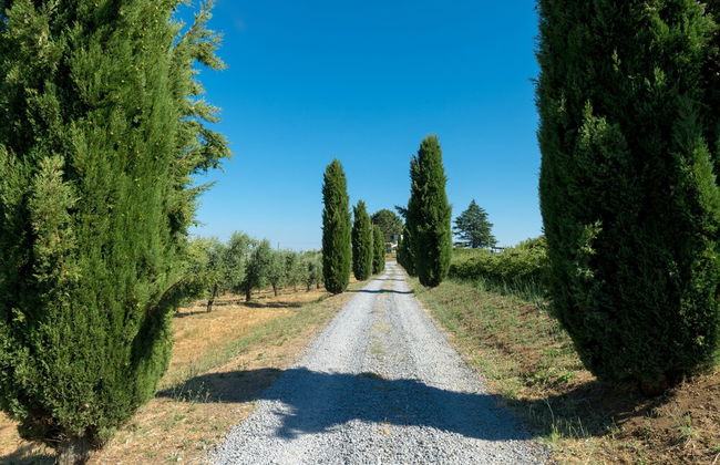Il Raggio di Sole - Foto 41