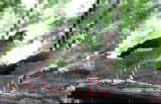 Photo 60 - Agriturismo San Cataldo Farm Home