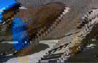 Photo 50 - Agriturismo San Cataldo Farm Home