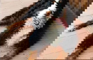 Photo 35 - Agriturismo San Cataldo Farm Home