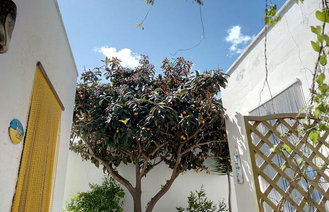 Villa Mediterranea - Foto 16