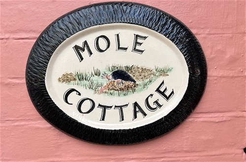 Foto 65 - Mole Cottage