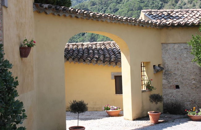 Azienda Agrituristica Le Puzelle - Foto 21