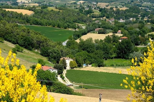 Photo 24 - Casale Antico Fattoria Luchetti