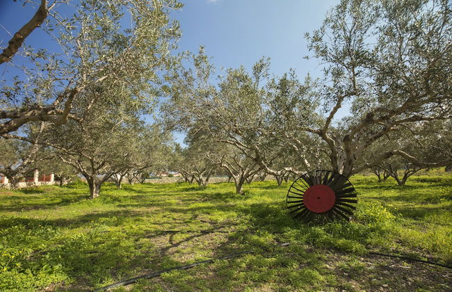 Mylos - Foto 34