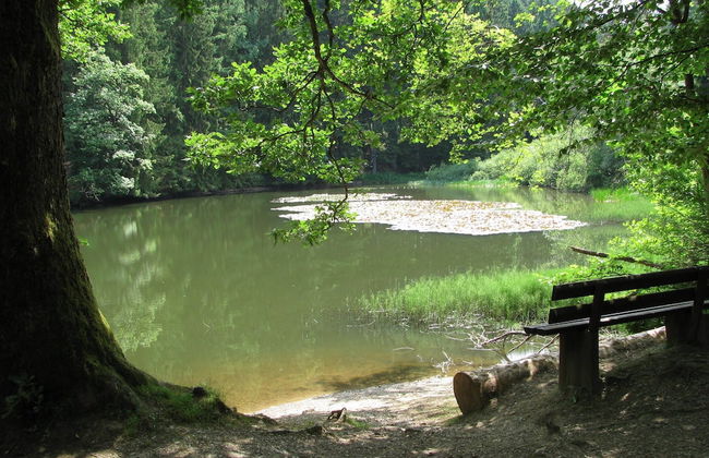 Naturparadies Bad Laasphe - Foto 31
