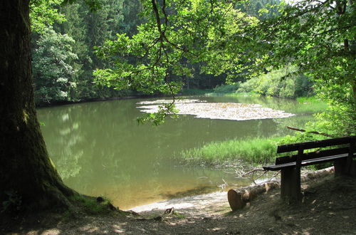 Photo 31 - Holiday Home Near the Hiking Trails in Bad Laasphe