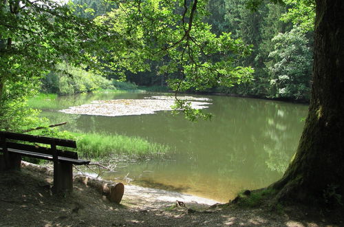 Photo 30 - Holiday Home Near the Hiking Trails in Bad Laasphe