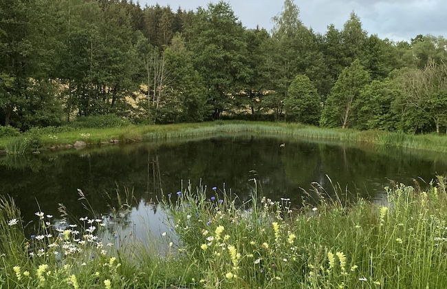 Ferienidylle Brunnersäge - Foto 17