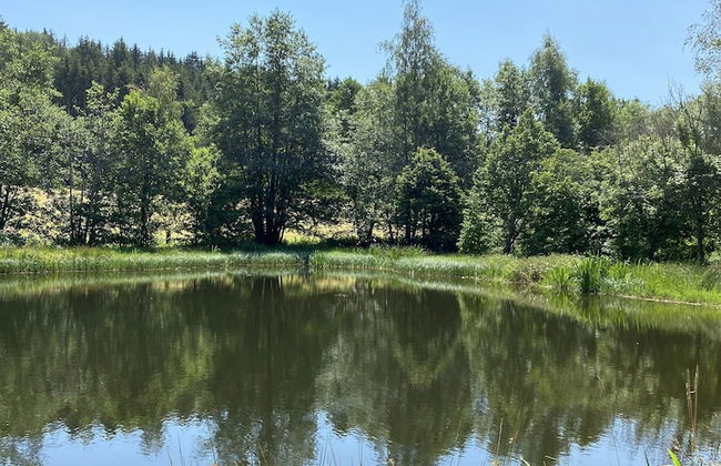 Ferienidylle Brunnersäge - Foto 21