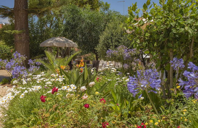Quinta Paraiso da Mia Two Bedroom Apartment - Foto 1