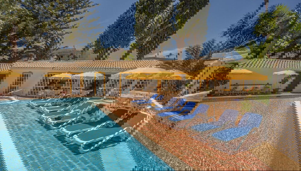 Imagem principal