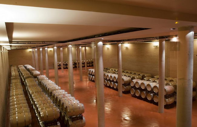 Hotel de Bodegas Hacienda Albae - Foto 30