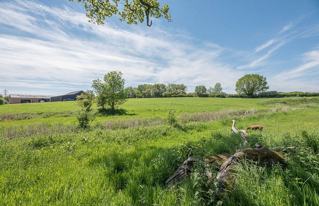 Chapel Cottage, Pond Hall Farm, Hadleigh - Foto 26