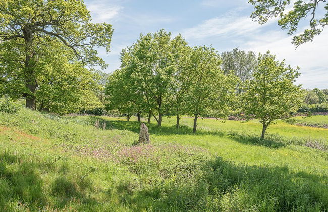 Chapel Cottage, Pond Hall Farm, Hadleigh - Foto 27