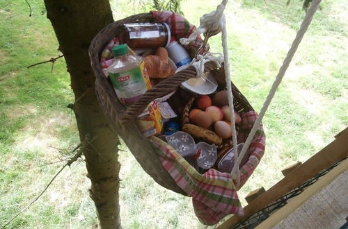 Foto 20 - Cabane dans les Arbres - Tree House