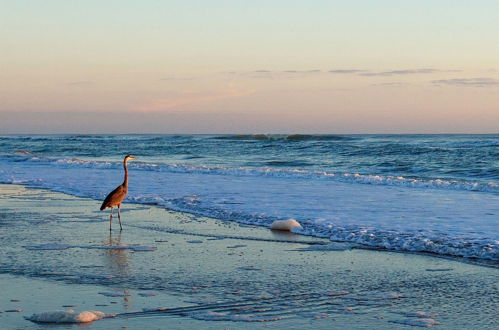 Photo 44 - Club Sea Oats