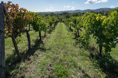 Photo 60 - Tenuta San Jacopo