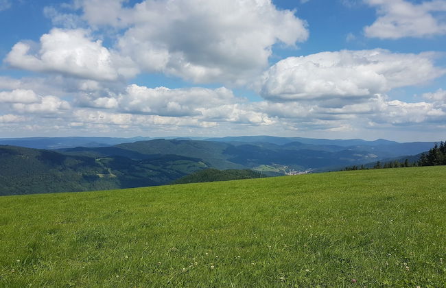 L'echappée Verte - Foto 58