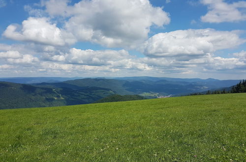 Photo 58 - L'echappée Verte