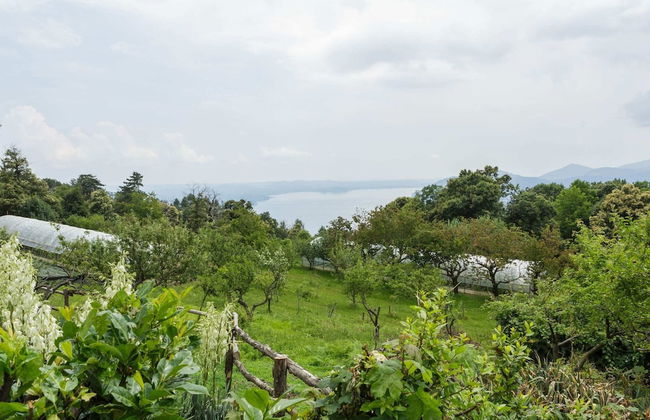Unique Holiday Experience in Greenery near Lake - Photo 37