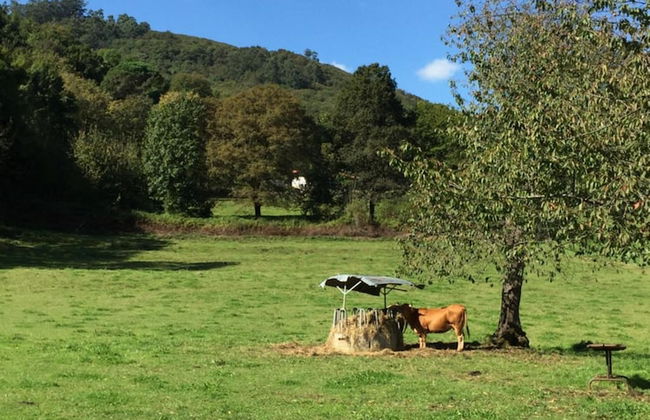 Agroturismo La Casona de Belmonte - Foto 50