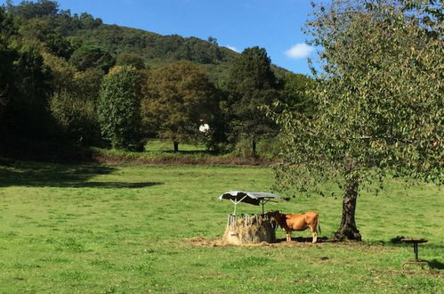 Foto 50 - Agroturismo La Casona de Belmonte