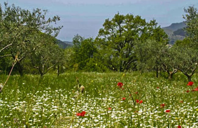 Agriturismo Terrerosse di Massadita - Foto 58