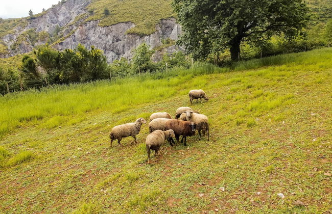 Agriturismo Terrerosse di Massadita - Foto 26