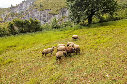 Foto 26 - Agriturismo Terrerosse di Massadita