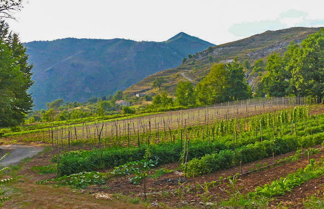 Agriturismo Terrerosse di Massadita - Foto 59