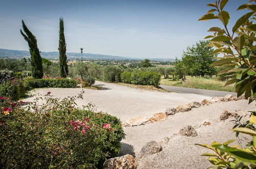 Photo 53 - Country House Poggio Fiorito