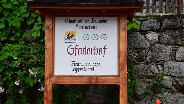 Rezeption