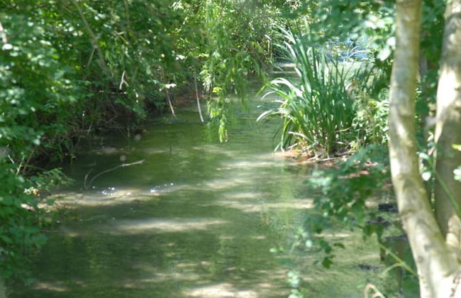 La Nesquière - Photo 54
