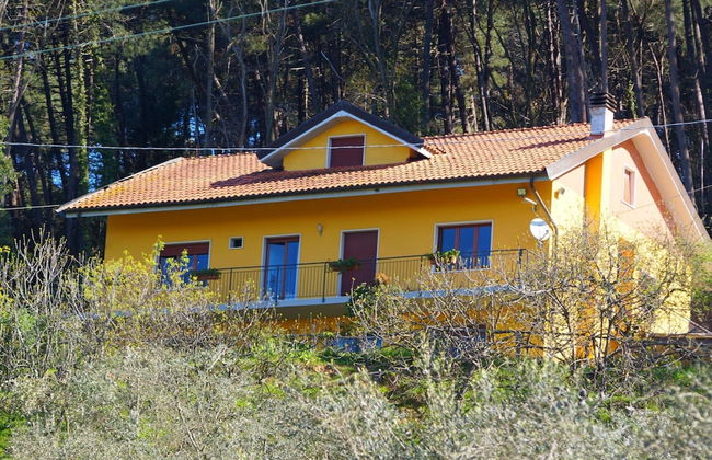 Holiday Home in Pescia With Swimming Pool - Foto 1