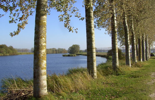 Country House in Sint Laureins Near Het Zwin - Foto 38