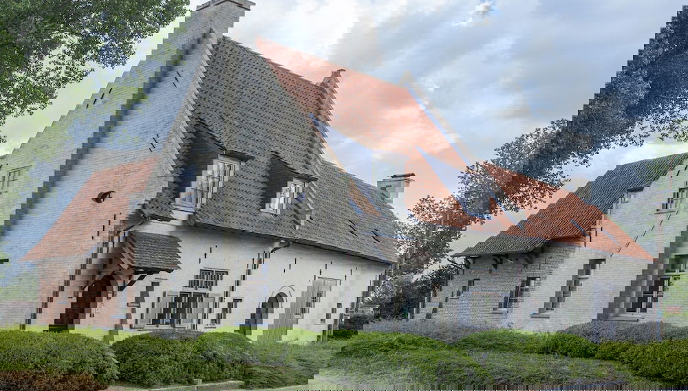 Primary image
